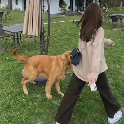 盛世华衣